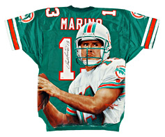 Hand-Painted Dan Marino Football Jersey